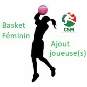 T2D - Basket Féminin - Ajout de joueuses