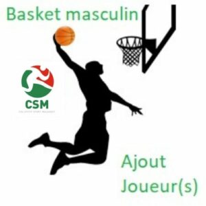 T2D - Basket masculin  - Ajout de joueurs