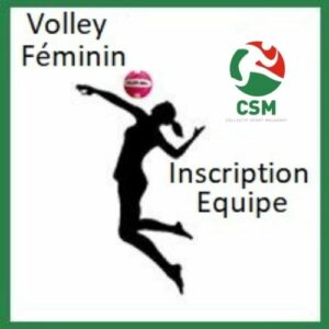T2D - Inscription Equipe Volley-ball féminin